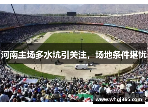 河南主场多水坑引关注，场地条件堪忧