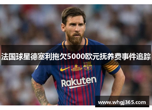 法国球星德塞利拖欠5000欧元抚养费事件追踪